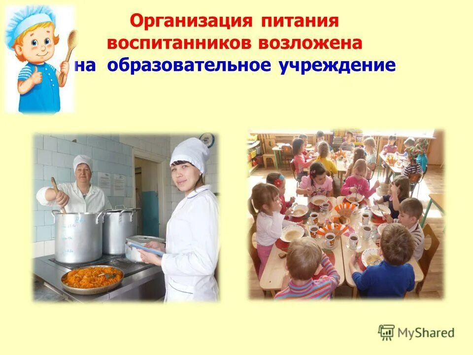организация питания в образовательных учреждениях. организация питания в бюджетных учреждениях. питание в доу. план организации питания на природе. организация питания в учреждении дошкольного образования.