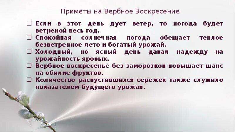 Ветер в безветренный день. Вербное воскресенье приметы. Вербное воскресенье приметы и традиции обряды. Вербное воскресенье приметы традиции и обычаи обряды. Народные приметы на Вербное воскресенье.