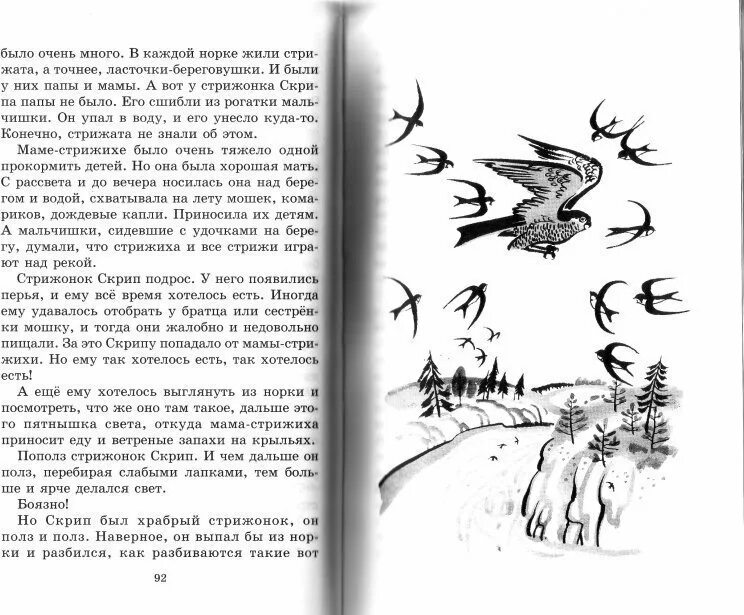 Нарисовать стрижонка скрипа 4 класс. Иллюстрация к рассказу Стрижонок Стриж. Астафьев в. "Стрижонок скрип". Рисунок стрижонка скрипа. Стрижонок скрип рисунок.