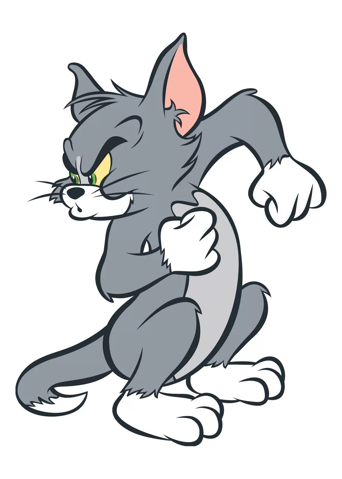 Tom and Jerry. Tom and Jerry Tom. Том из мультика том и Джерри. Кот из Тома и Джерри.