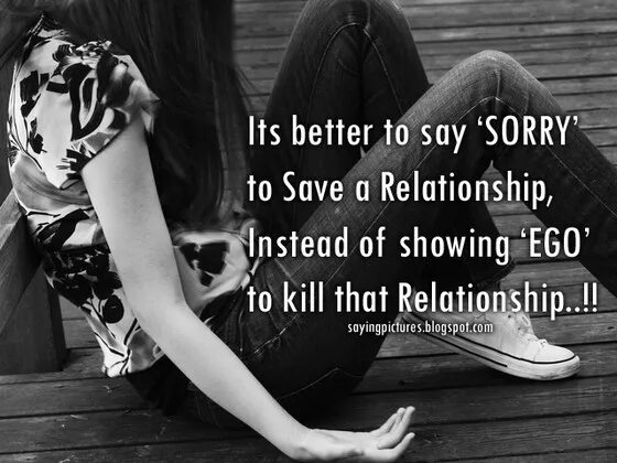 It is better to. Say sorry. sorry фото. to better. it&#039;s better.