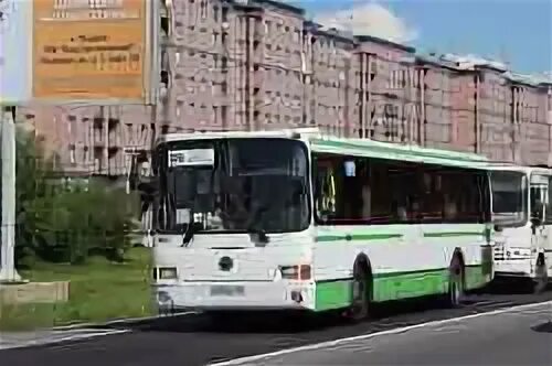 325 павловск колпино