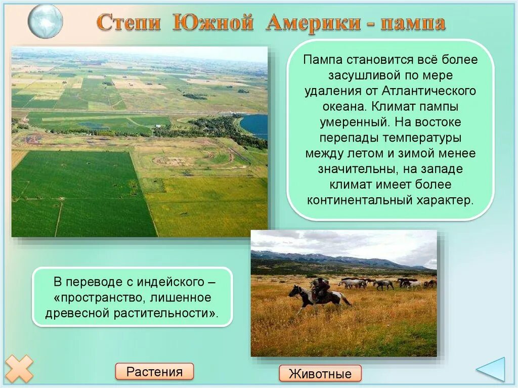 Пампа природная зона южной америки. Климат степи пампа Южной Америки. Пампы или степи Южной Америки. Климат пампы в Южной Америке.