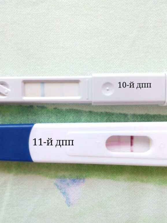 ДПП. 11 ДПП тест. 10 ДПП пятидневок. 8 ДПП пятидневок. Розовые выделения дпп
