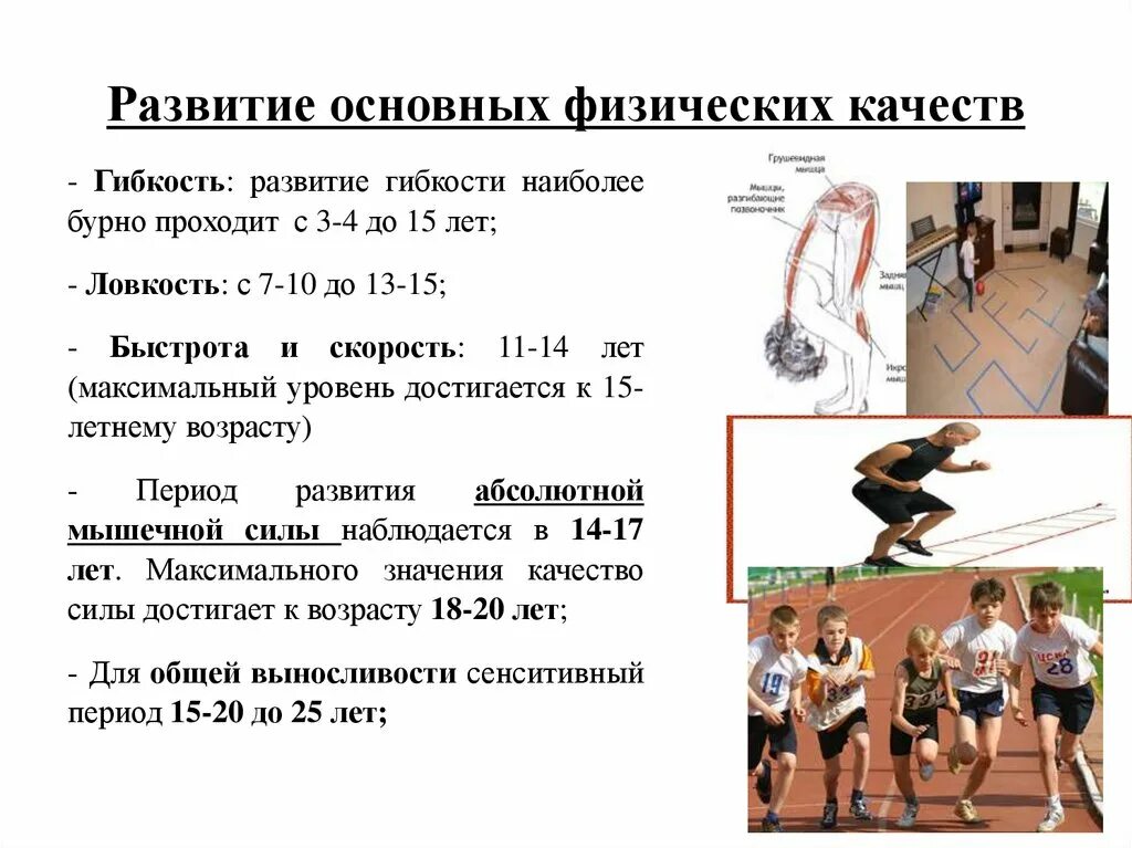 Физ сим. Комплексы упражнений для развития основных физических качеств. формирование и совершенствование физических качеств. развитие основных физических качеств. развитие физического качества гибкость.