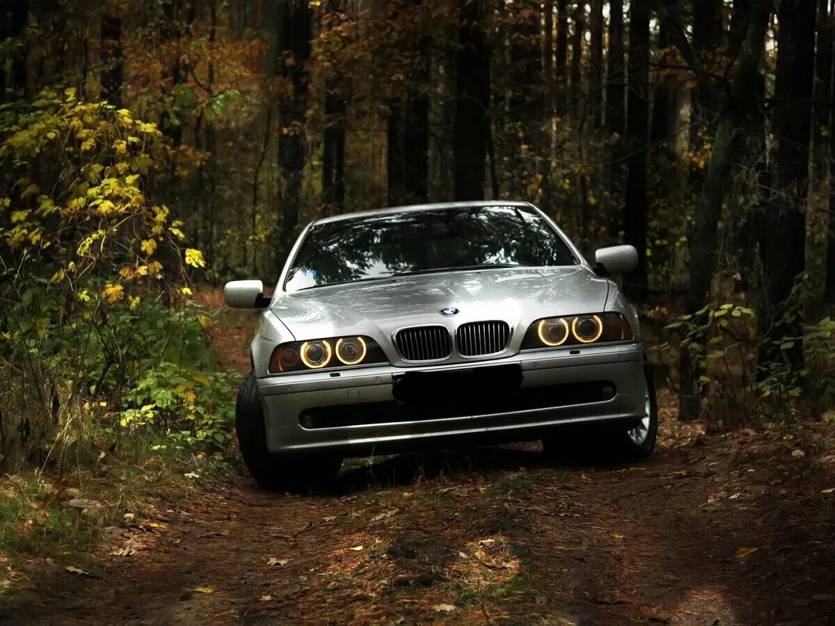 Бмв 39 525. Bmw 5 e39. Bmw e39 5. Bmw кузов е39. Bmw 39 кузов.
