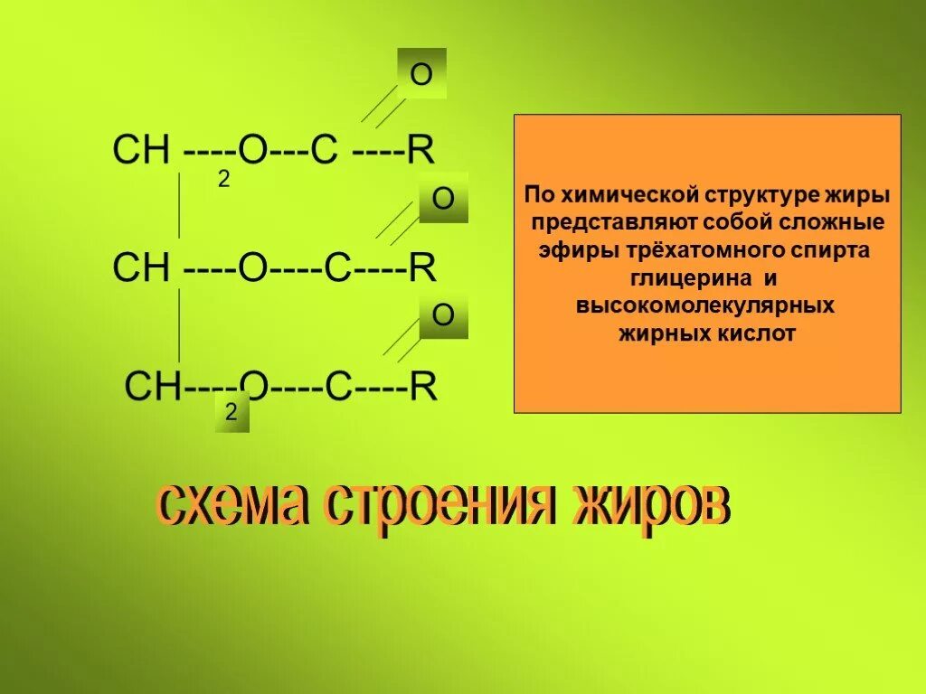 Жиры строение химия. Структура формула жиров. Структурное строение жиров. Химическое строение жиров.