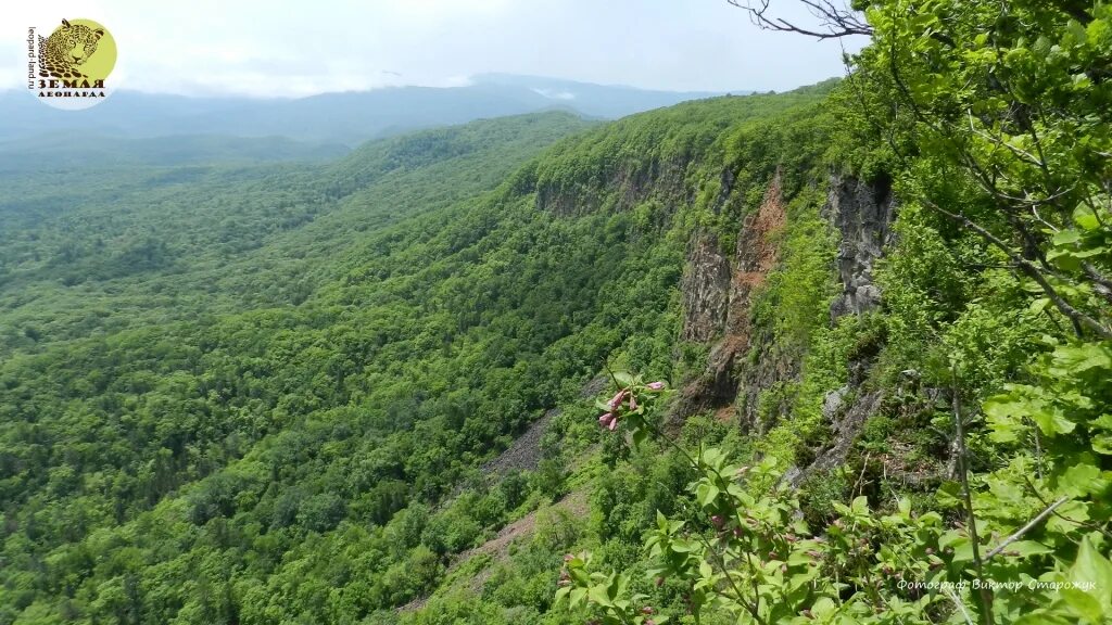 Земля леопарда национальный парк. Комфортная среда сальский парк дизайн проект. Парк земля прайда. Тропа леопарда приморский край. Земля леопарда национальный парк территория.