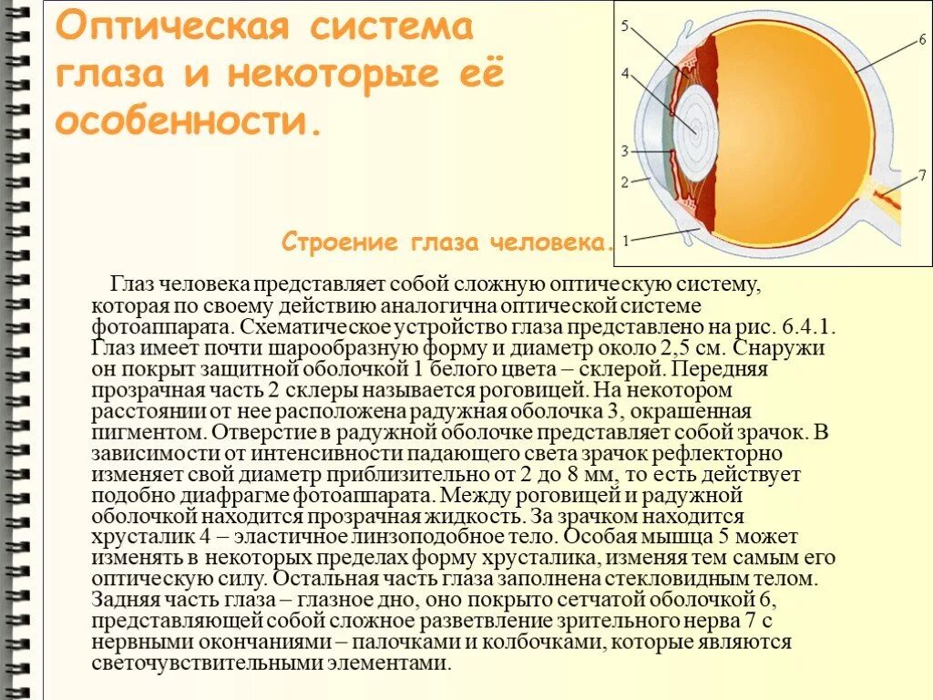 Оптическая система глаза строение глаза физика. Строение глаза человека с точки зрения физики. Перечислите составляющие оптической системы глаза. Глаз как оптическая система принцип работы. Какое образование относят к оптической системе глаза
