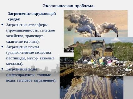 Проблемы экологии произведения