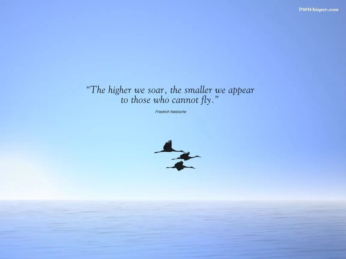 Soaring перевод. Обои с высказываниями. soar перевод. цитата ницше на английском. quotes about goals.