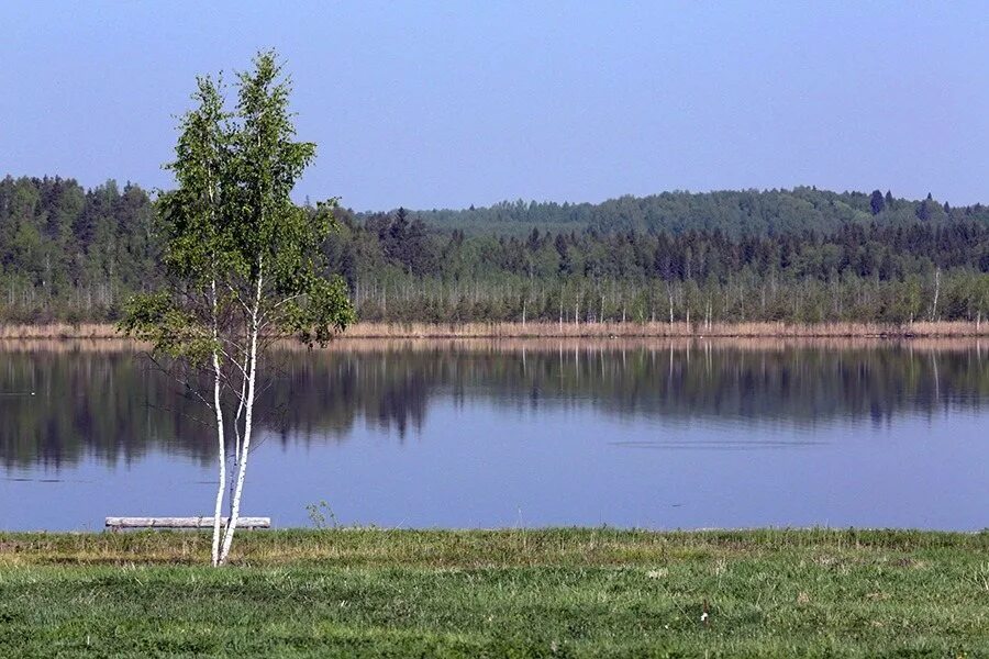 Белое озеро москва. Участки озеро большое. Приозерное нижегородская область. Участки озеро большое. Васютино павлово-посадский озеро пруд.