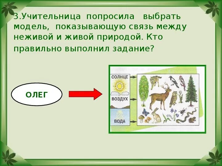 Привести примеры живой и неживой природы. Связь между живой и неживой природой. Пример связи между живой и неживой природой. Взаимосвязи в живой природе. Примеры экосвязей живой и неживой природы.