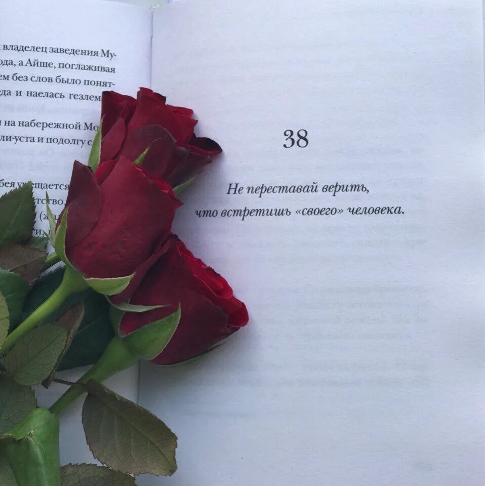 Хочу верить то что наша любовь навсегда