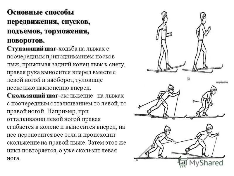 Лыжные ходы спуски подъемы торможения. Техника лыжных ходов. Подъёмы, спуски, торможения.. Техника подъёмов, спуска и торможения. Техника лыжных ходов спуски подъемы. Элементы передвижения на лыжах