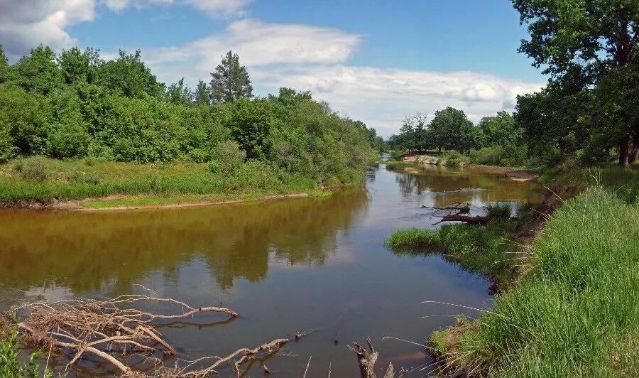 Река тёша Нижегородской области. Река теша Кулебаки. Река теша Арзамас.