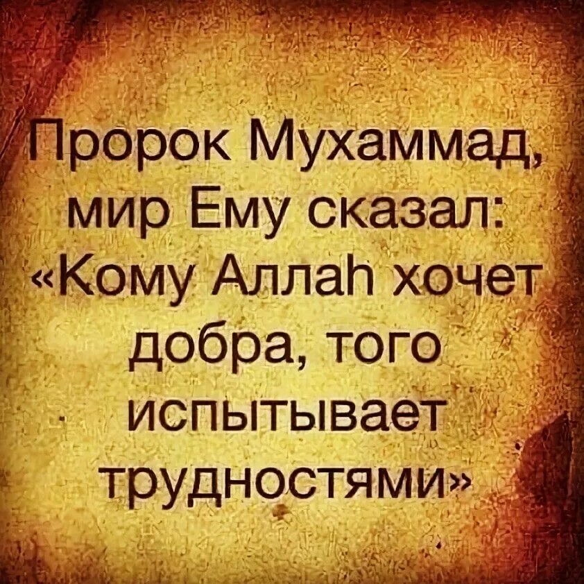 Пророк мухаммед сколько детей есть. Высказывания пророка. хадисы пророка. мудрые слова пророка. слова пророка мухаммада с.а.в.