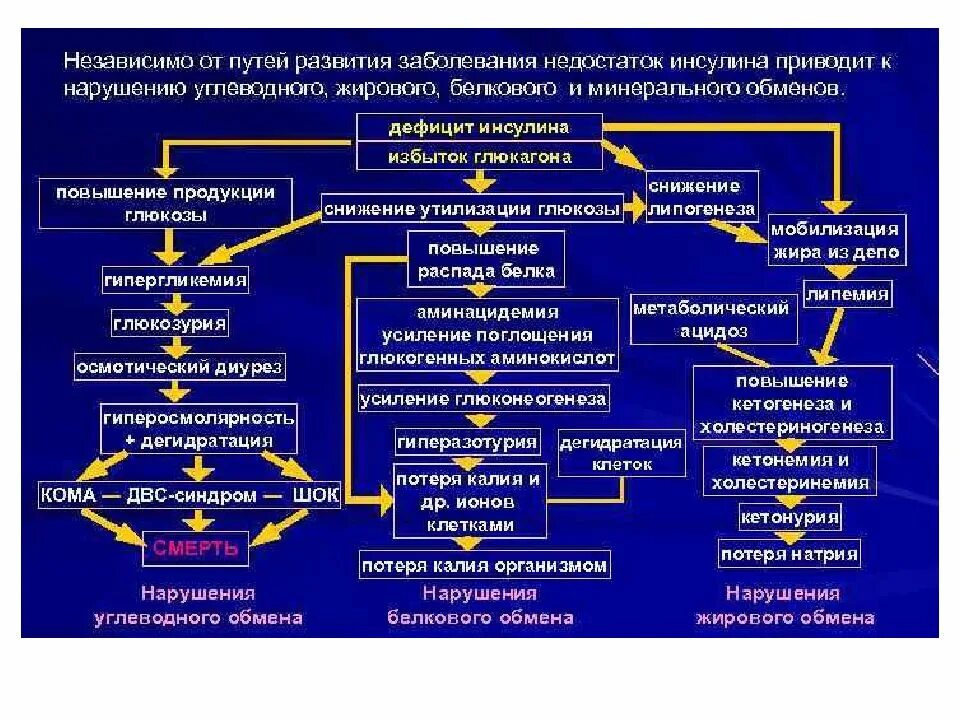 Тяжелые формы хронических заболеваний. Нарушение метаболических процессов. Патогенез нарушения углеводного обмена. Механизм развития заболевания. Этиология нарушений белкового обмена.