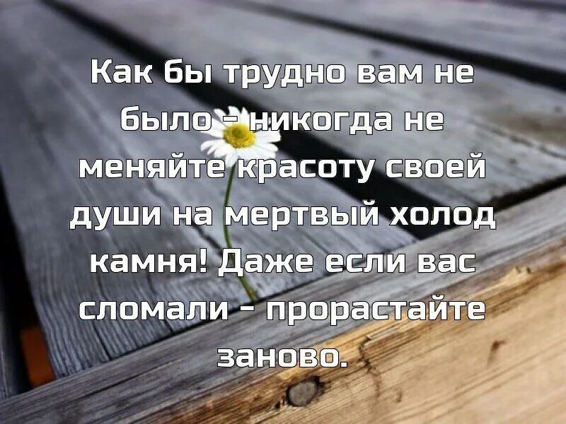 Бывают дни тяжелые. Сложно цитаты. Цитаты про тяжелую жизнь. Цитаты когда тяжело. Высказывания о трудной жизни.