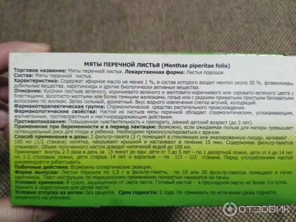 С какого возраста можно давать мяту