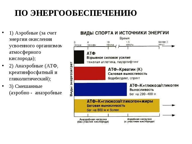 Нагрузки и длительное время. Аэробная и анаэробная нагрузка что это. Энергообеспечение мышечной работы. Анаэробные процессы в организме. Упражнения максимальной анаэробной мощности.