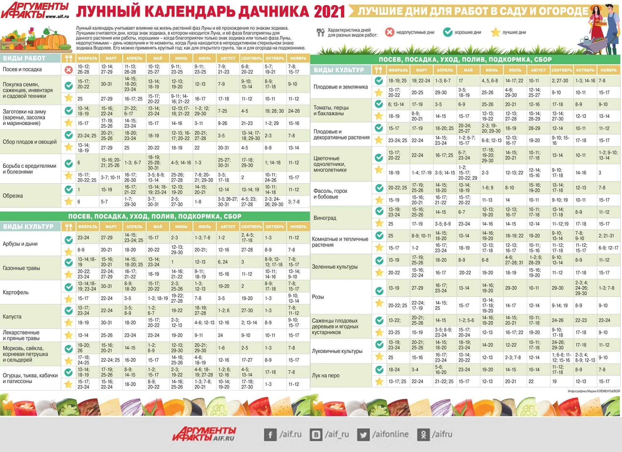Какого числа можно посадить