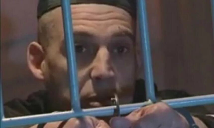 Маслич черный дельфин. Маслич черный дельфин. Маслич черный дельфин. Муханкин черный дельфин. Маслич черный дельфин.