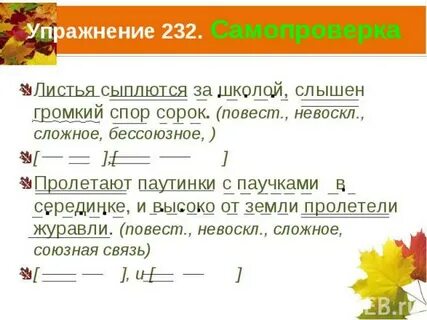 Пощупав корнями воду лиственницы березы