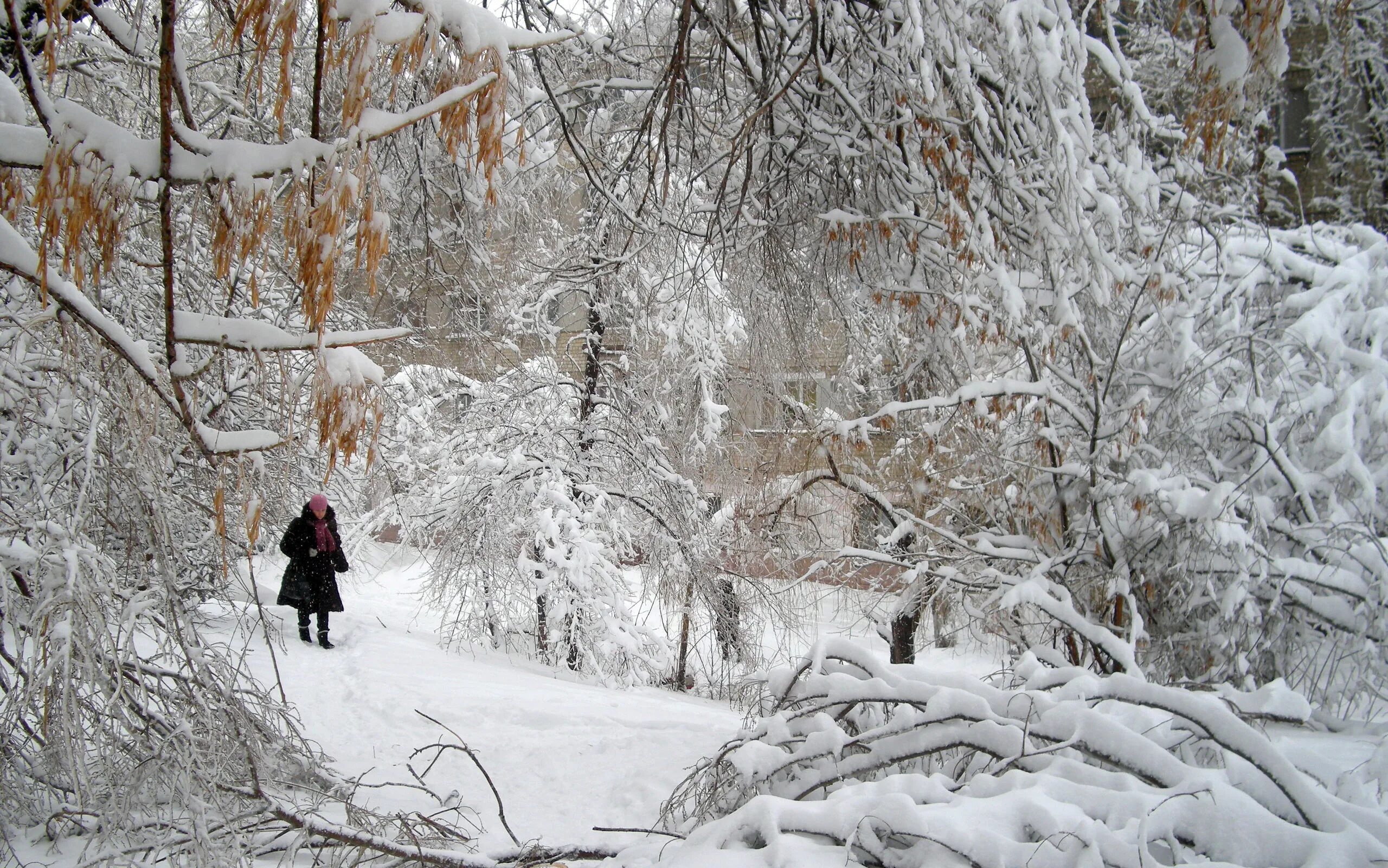 Что спрятано в снегу. Зимний парк. Зимняя прогулка. Прогулка снег. Снежная прогулка.
