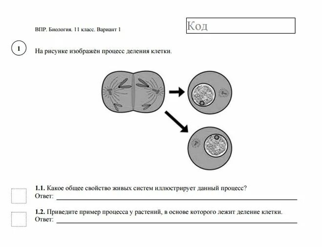 Впр биология 5 2023. ВПР 9 класс биология. ВПР по биологии за 5 класс Пономарев. ВПР по биологии 6 класс 2020 год с ответами. Ответы на ВПР по биологии 5 класс 2022 год 1 вариант ответы.