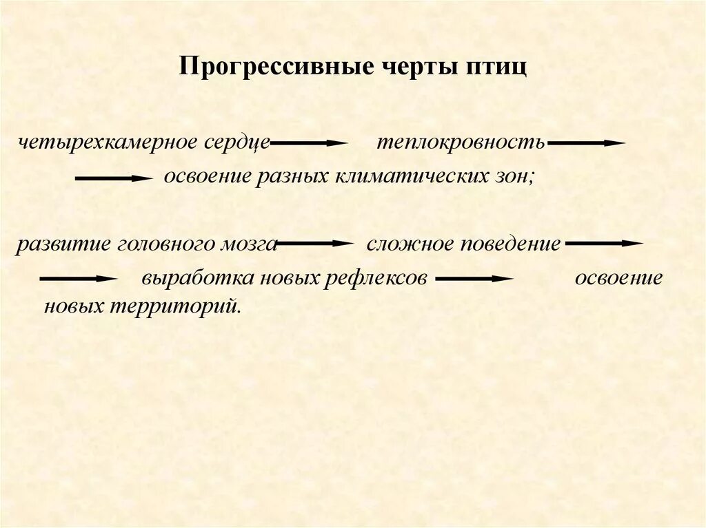 Прогрессивными характеристиками птиц в сравнении с рептилиями. Прогрессивные черты птиц. Черты организации птиц. Прогрессивные признаки птиц. Прогрессивные черты класса птиц.