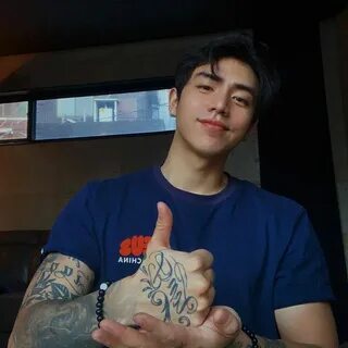 Dpr artic dpr ian