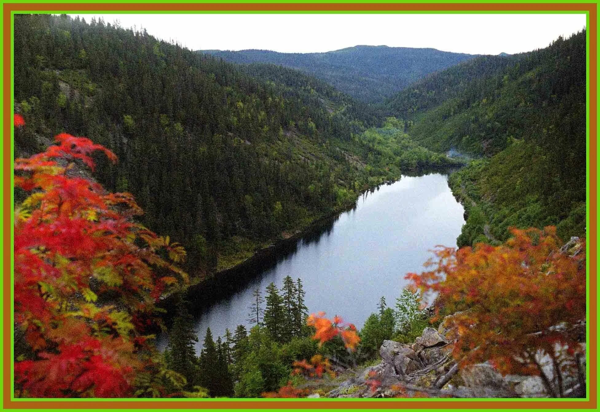 Озеро Амут Комсомольск на Амуре. Озеро Амут осенью. Амур озеро Хабаровский край. Амут озеро Хабаровский. Места в хабаровском крае