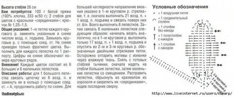 Орхидея крючком схема и описание