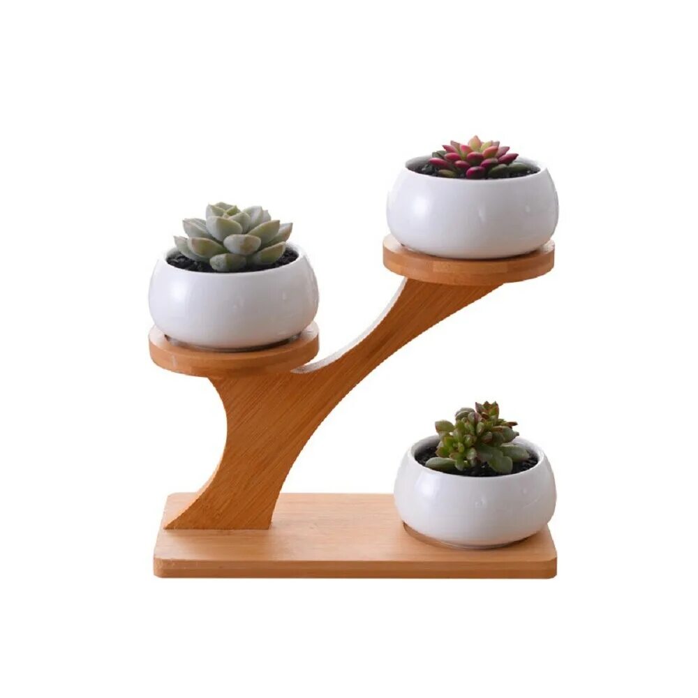 Подставка cactus. Кактус круглый в горшке. маленькие кактусы в горшках. подставка для кактусов. горшок на бамбуковой подставке.
