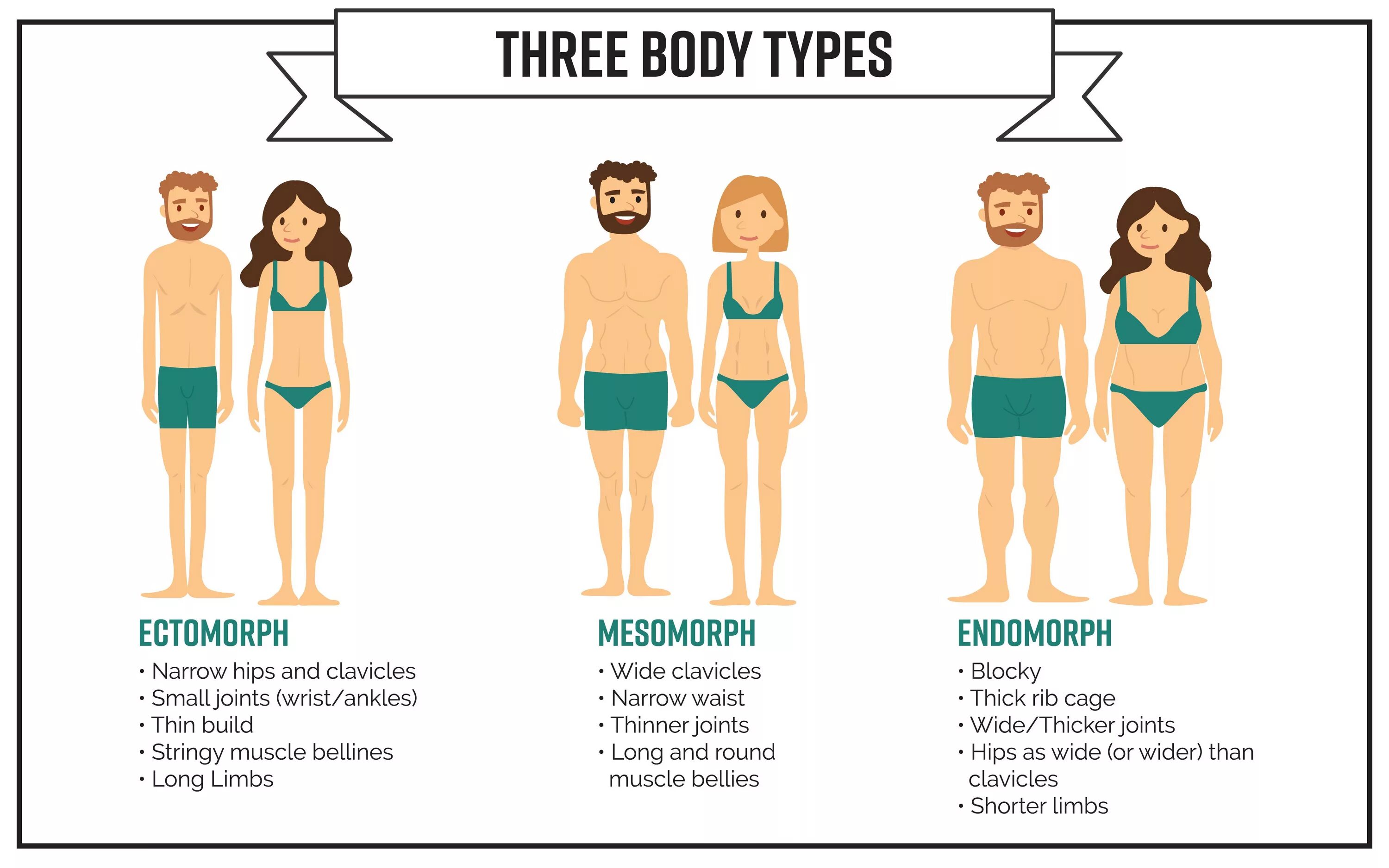 This type of body. Эктоморф мезоморф и эндоморф. типы фигур у женщин эндоморф и другие. типы телосложения на английском. ectomorph body type.