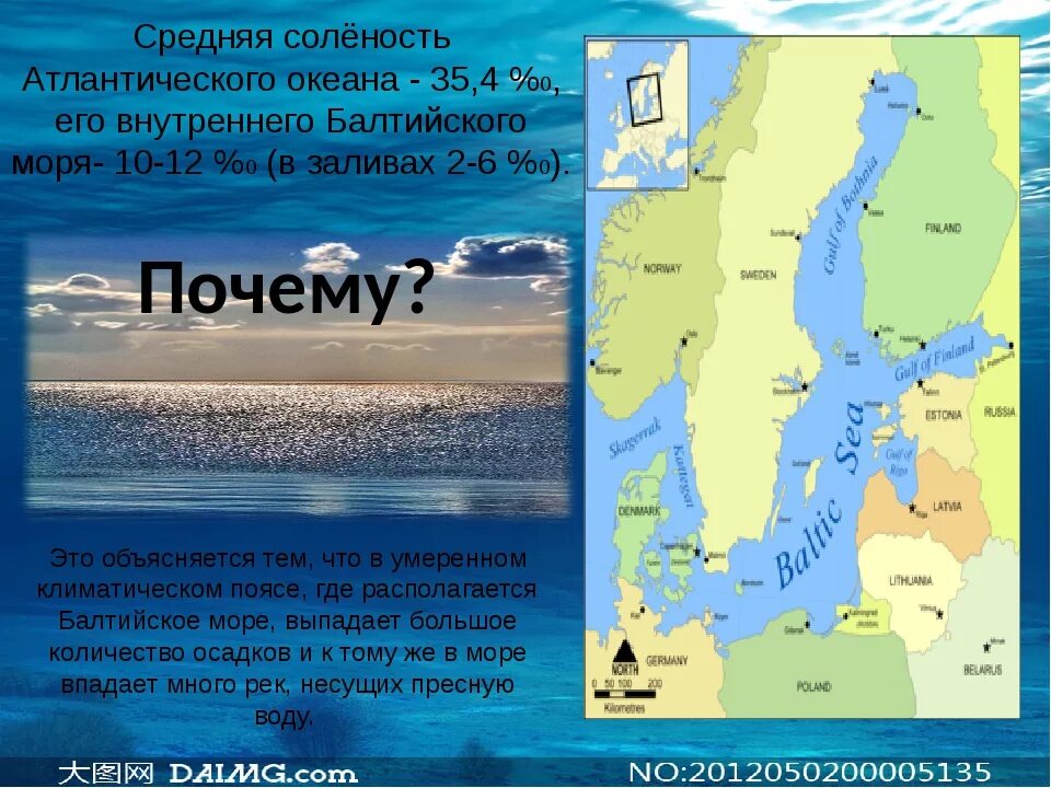 Какая страна расположена на балтийском море. Балтийское море к какому океану относится. Средняя соленость Балтийского моря. Карта солености Балтийского моря. Соленость воды Балтийского моря.