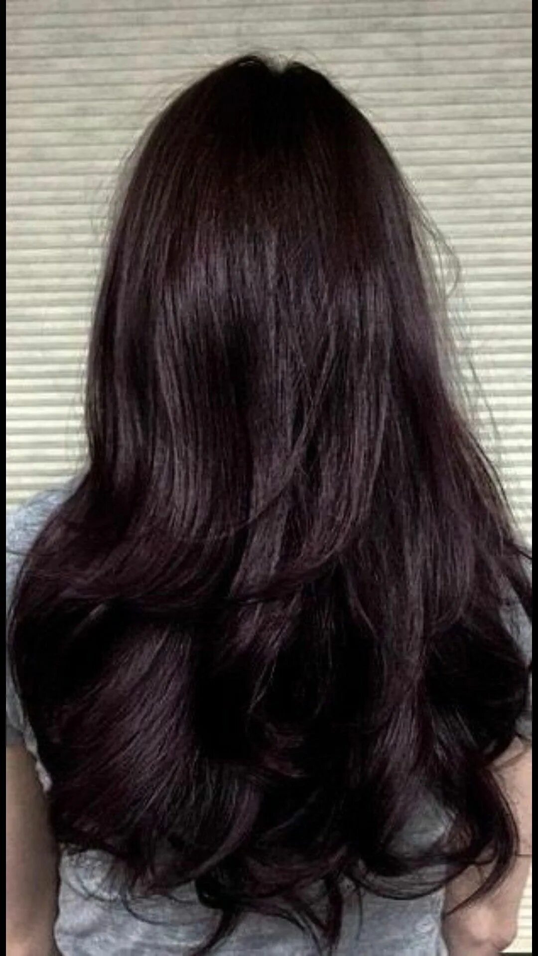 Темный каштановый фото. Темный каштан с фиолетовым отливом. Цвет волос каштан с фиолетовым отливом. Черный мокко цвет волос. Тёмный каштан цвет с фиолетовым отливом.
