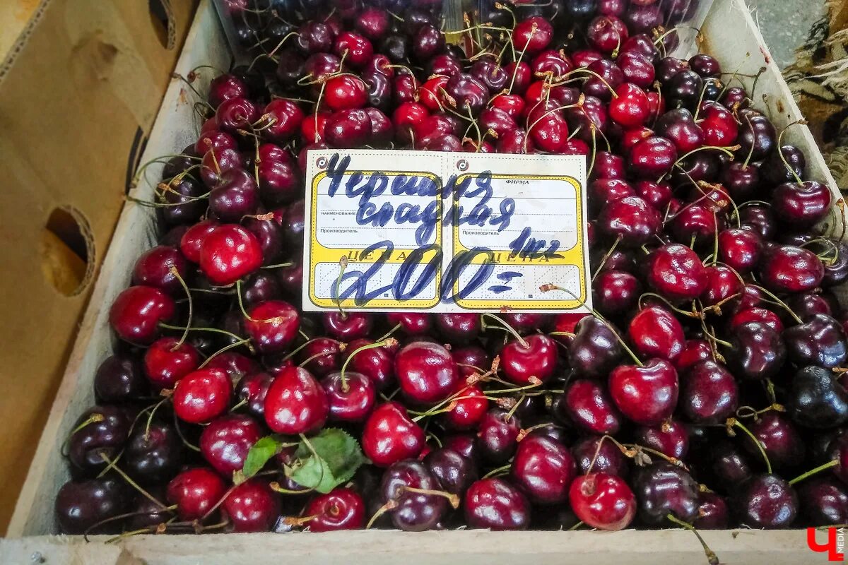 Черешня купить кг. Вишня на рынке. Черешня на рынке. Вишня за килограмм. Килограмм черешни.