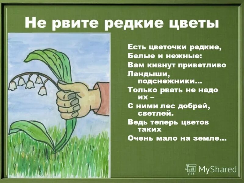 Не бережно написано. Стихи о бережном отношении к природе. Берегите растения. Стишок про защиту природы. Стихи на экологическую тему.