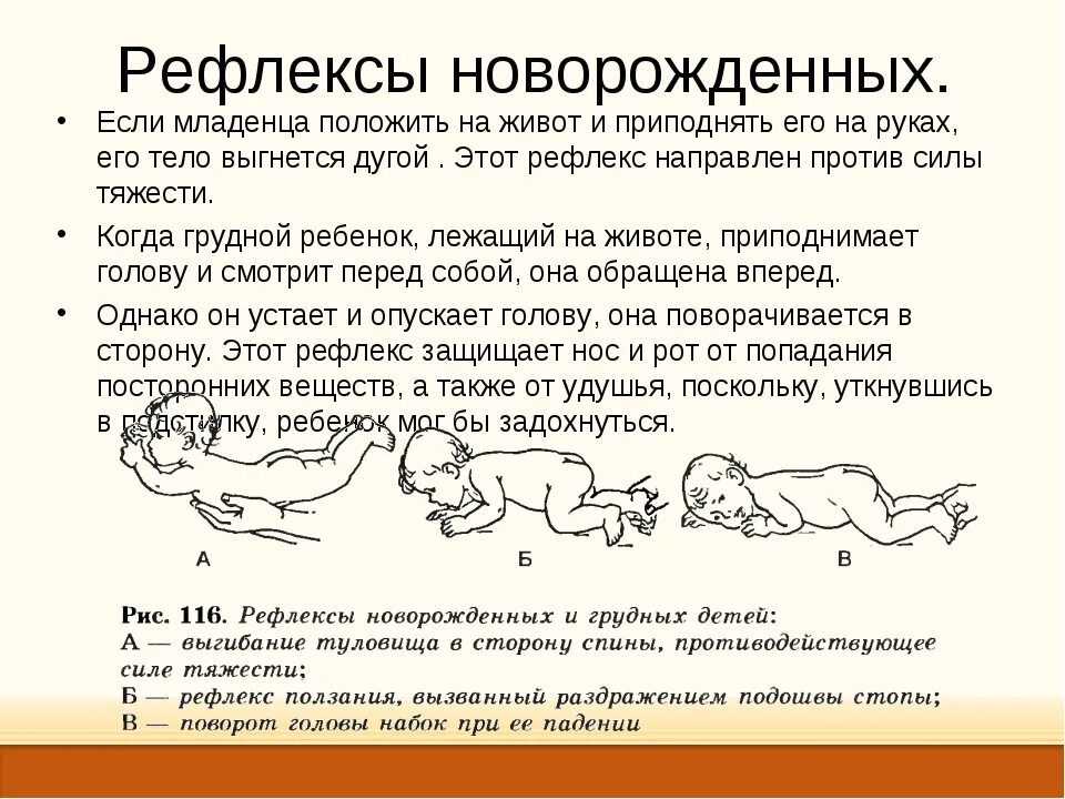 Врожденные рефлексы организма. Рефлексы новорожденных. Рефлексы новорожденных детей. Основные безусловные рефлексы новорожденного. Врожденные рефлексы ребенка.