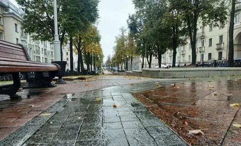 Осадки в минске в реальном времени
