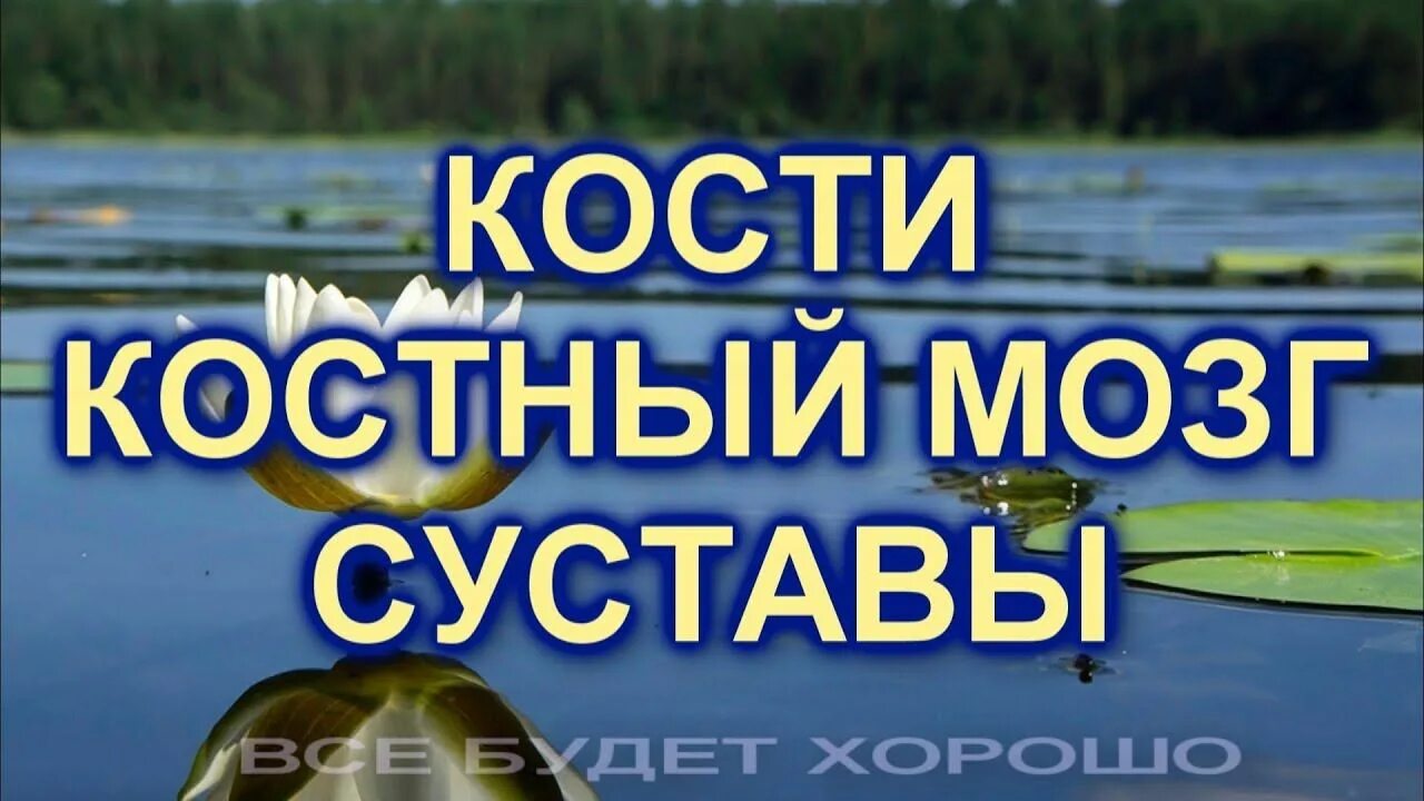 Настрой на оздоровление суставов. Сытин настрой на оздоровление костей и суставов. Настрой Здоровые суставы. Настрой Сытина суставов на оздоровление костей для женщин. Настрои Сытина на оздоровление суставов ног для женщин.