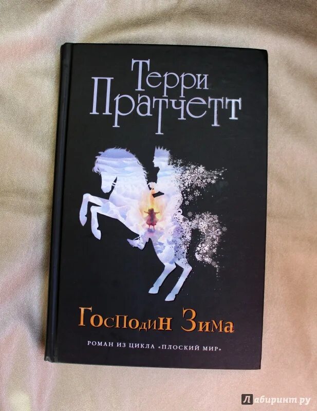 Господин зима. Пратчетт Терри "господин зима". Тиффани Терри Пратчетт господин зима. Терри Пратчетт господин зима иллюстрации. Зимних дел мастер Терри Пратчетт.