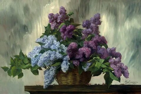 Пастернак сирень