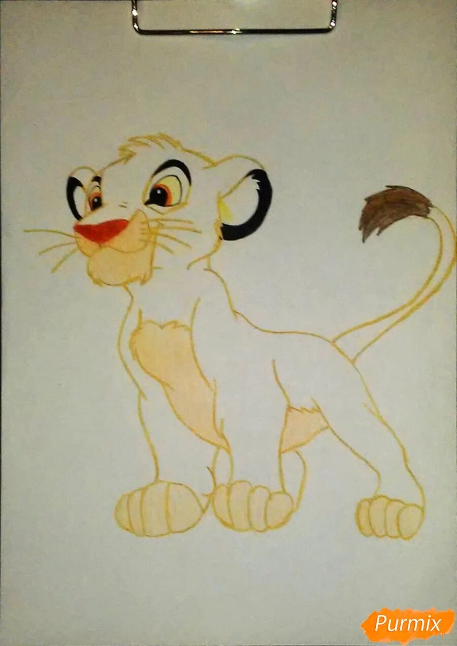 Раскраска симба король лев симба. Симба нарисовать. Поэтапное рисование симбы. Король лев симба. Дисней король лев симба.
