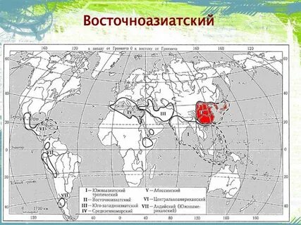 Южноазиатский тропический