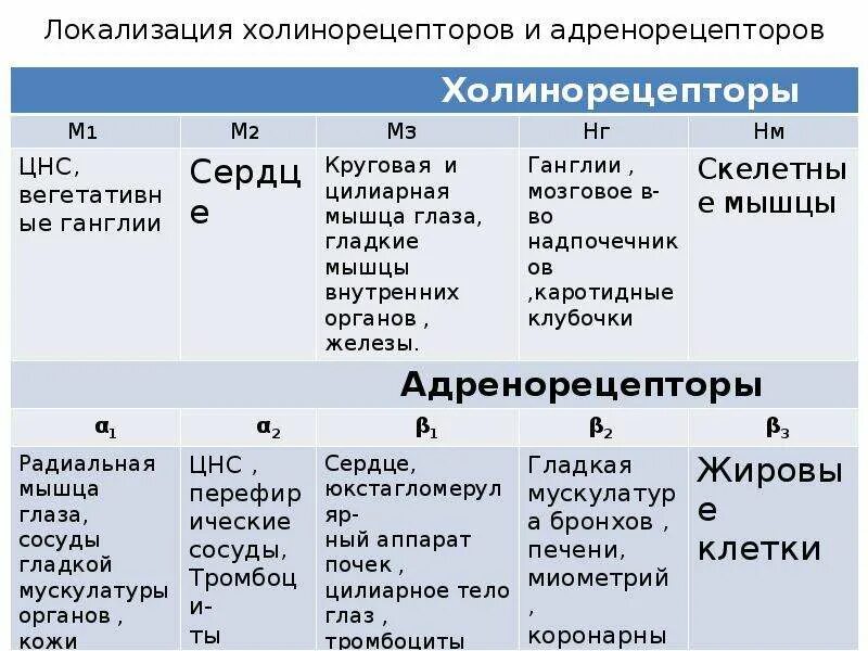 Локализация холинорецепторов. Адренорецепторы и холинорецепторы. Адренорецепторы локализация. Альфа и бета адренорецепторы локализация.