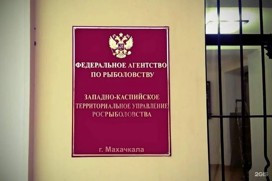 Росрыболовство махачкала. Административно технический департамент. Росрыболовство махачкала. Территориальное управление по ленинскому району города кирова. Территориальный отдел 15.