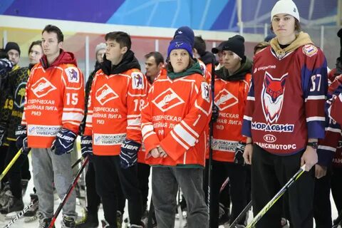 Пфо 2013 хоккей